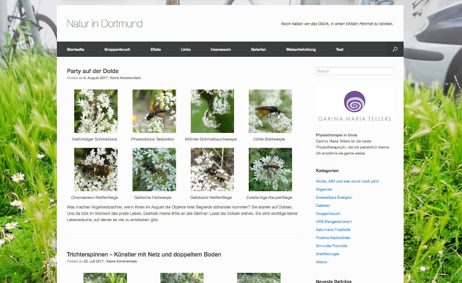 Referenz Blog Natur in Dortmund